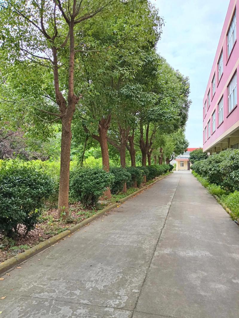探索南京景观设计的美学与艺术